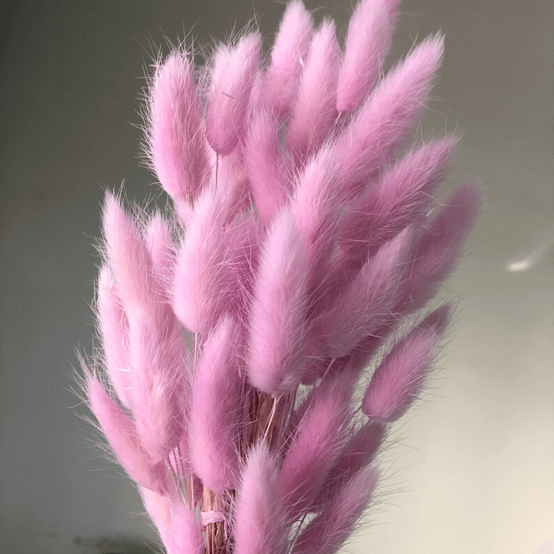 Natural Dried Fluffy Bunny Tails - SC 44