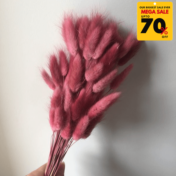 Natural Dried Fluffy Bunny Tails - SC 32
