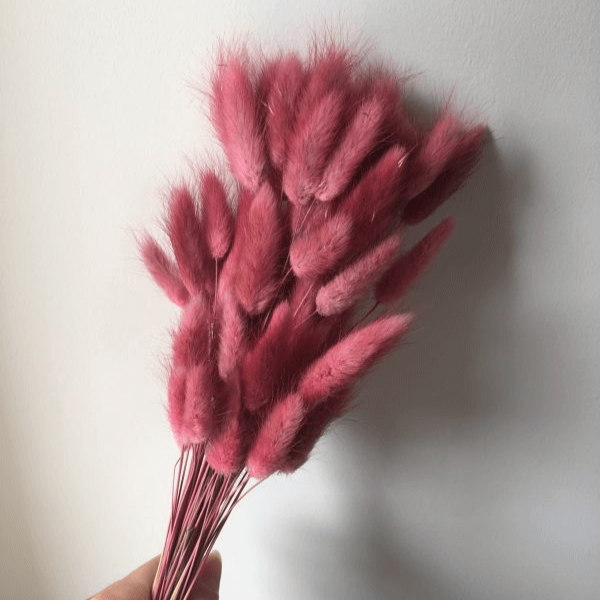 Natural Dried Fluffy Bunny Tails - SC32