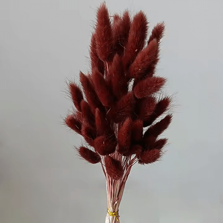 Natural Dried Fluffy Bunny Tails - SC38