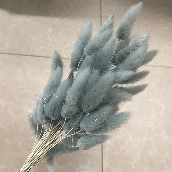 Natural Dried Fluffy Bunny Tails - SC 56