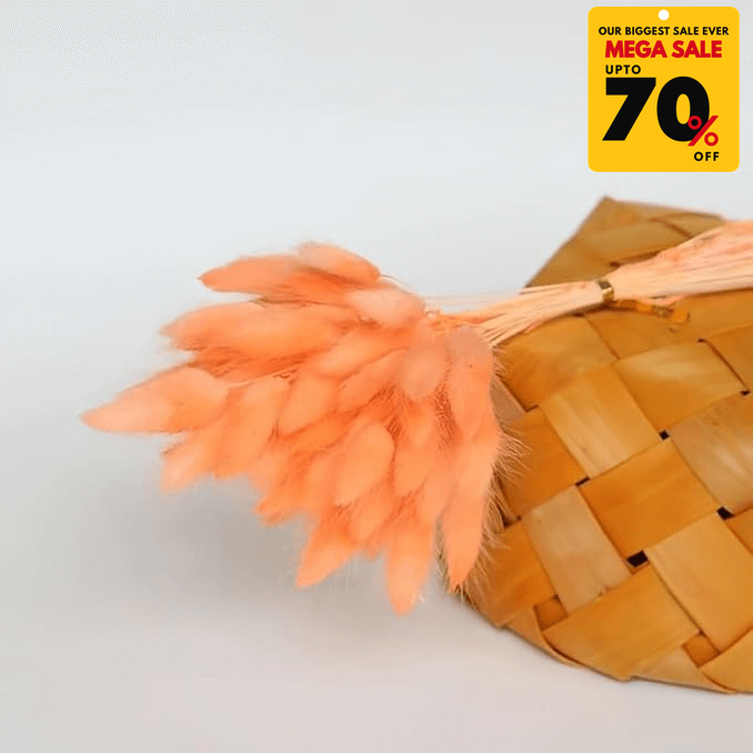 Natural Dried Fluffy Bunny Tails - SC 27