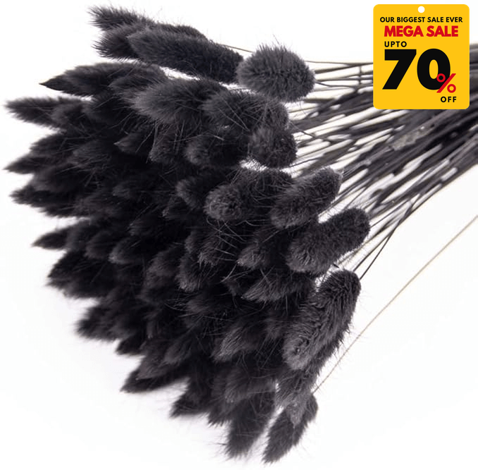 Natural Dried Fluffy Bunny Tails - SC 58