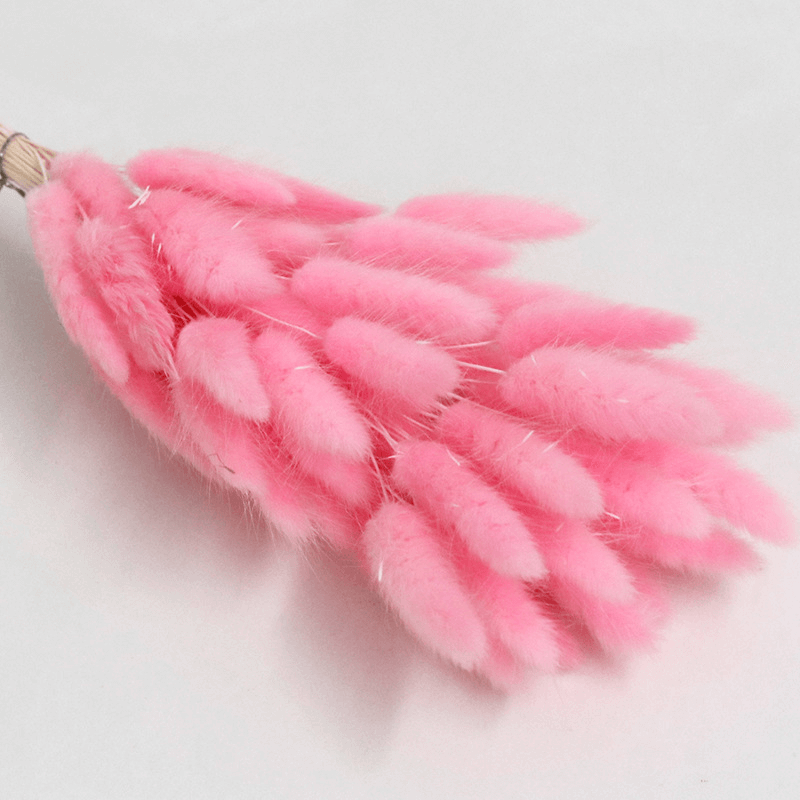 Natural Dried Fluffy Bunny Tails - SC 42