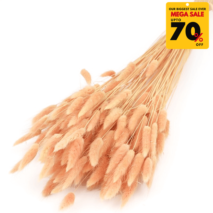 Natural Dried Fluffy Bunny Tails - SC 27