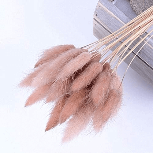 Natural Dried Fluffy Bunny Tails - SC 44