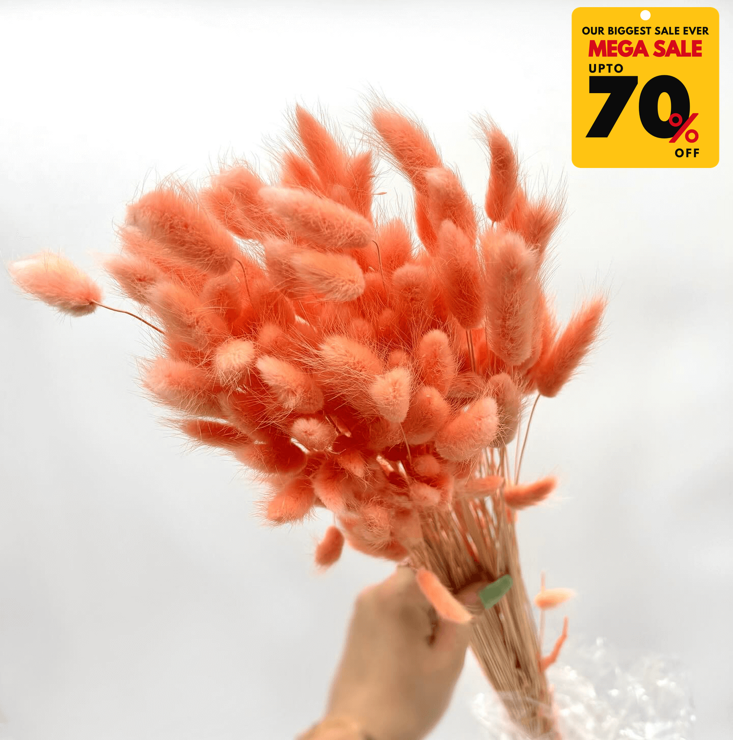 Natural Dried Fluffy Bunny Tails - SC 27