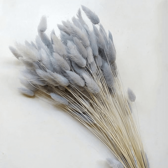 Natural Dried Fluffy Bunny Tails - SC 56