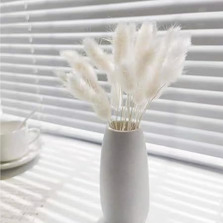 Natural Dried Fluffy Bunny Tails - SC 02