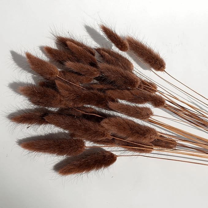 Natural Dried Fluffy Bunny Tails - SC 37