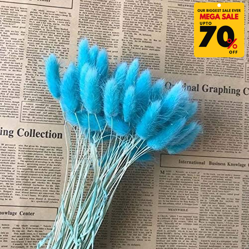 Natural Dried Fluffy Bunny Tails - SC 60