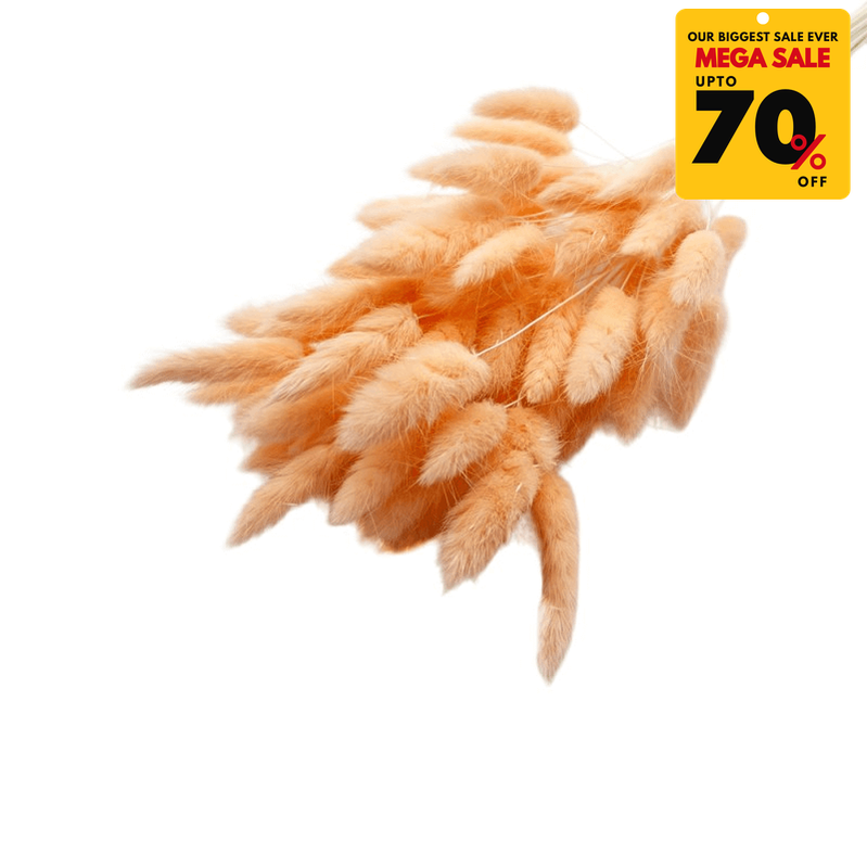 Natural Dried Fluffy Bunny Tails - SC 27