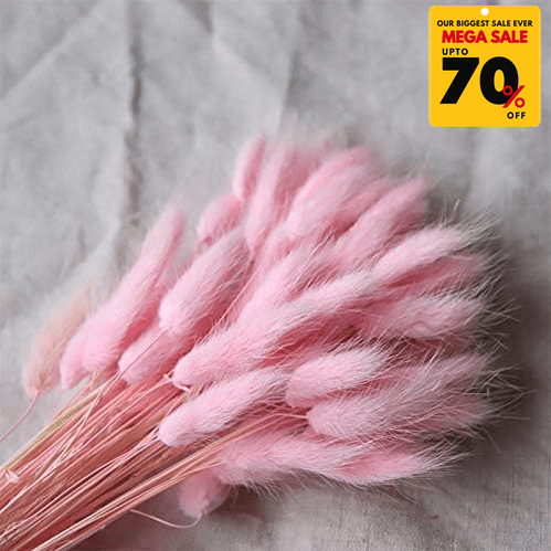 Natural Dried Fluffy Bunny Tails - SC 44