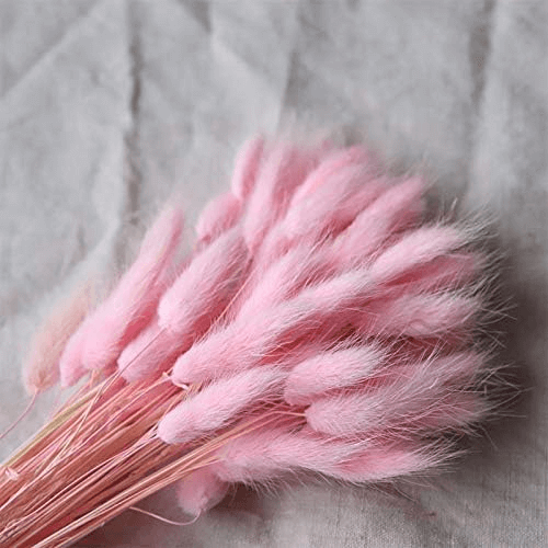 Natural Dried Fluffy Bunny Tails - SC 44