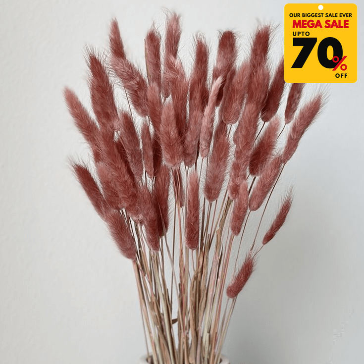 Natural Dried Fluffy Bunny Tails - SC 38
