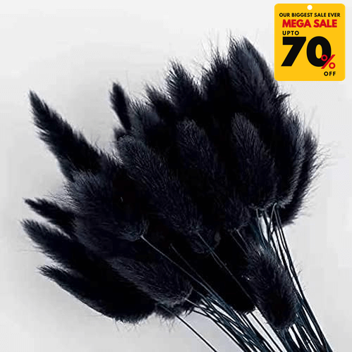 Natural Dried Fluffy Bunny Tails - SC 58