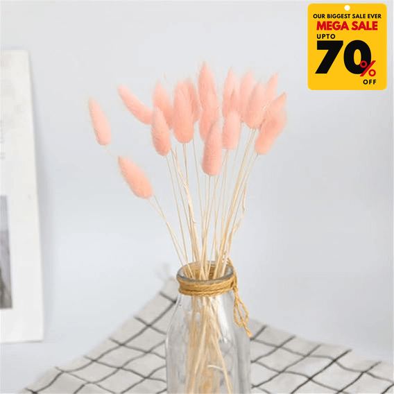 Natural Dried Fluffy Bunny Tails - SC 49
