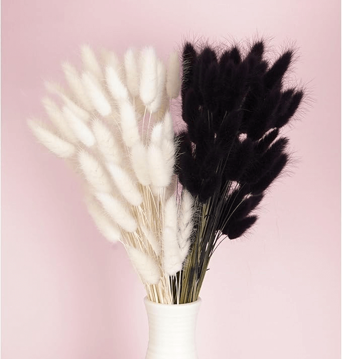 Natural Dried Fluffy Bunny Tails - SC Black