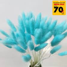 Natural Dried Fluffy Bunny Tails - SC 60