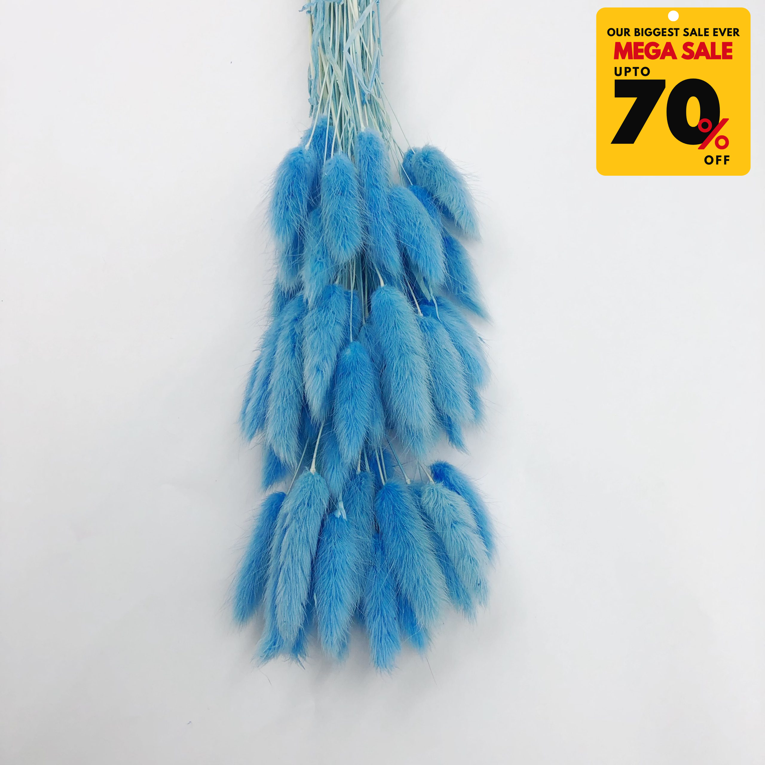 Natural Dried Fluffy Bunny Tails - SC 60