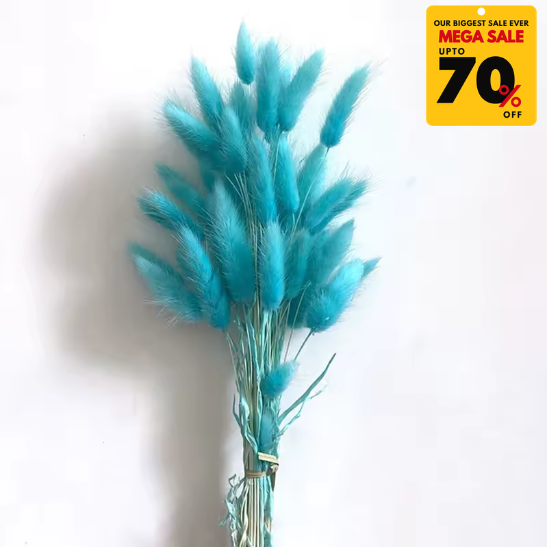 Natural Dried Fluffy Bunny Tails - SC 60