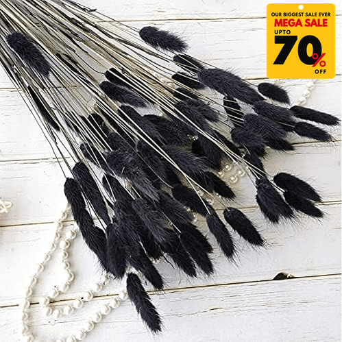 Natural Dried Fluffy Bunny Tails - SC 58