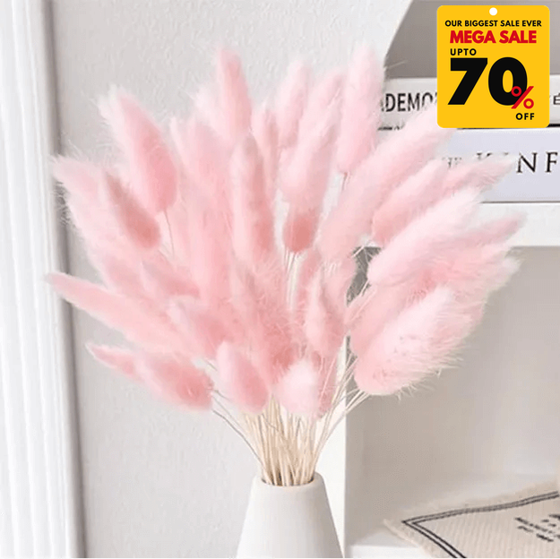 Natural Dried Fluffy Bunny Tails - SC 49