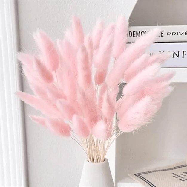 Natural Dried Fluffy Bunny Tails - SC 49