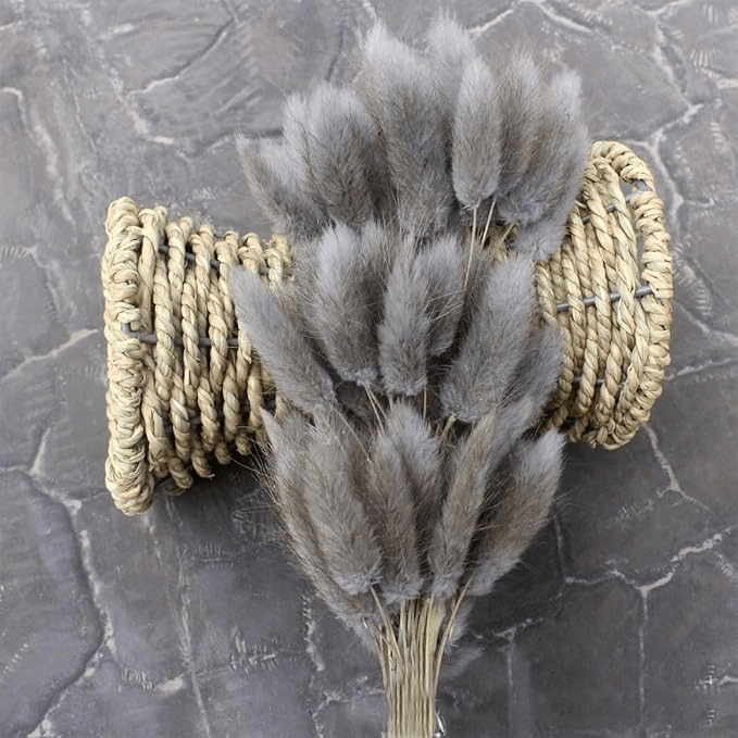 Natural Dried Fluffy Bunny Tails - SC 56