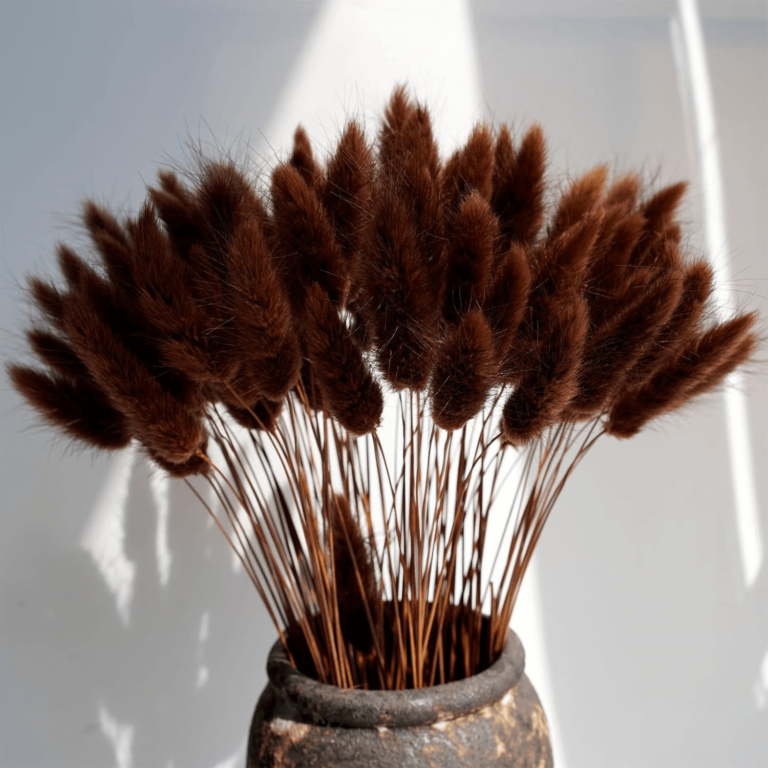 Natural Dried Fluffy Bunny Tails - SC37