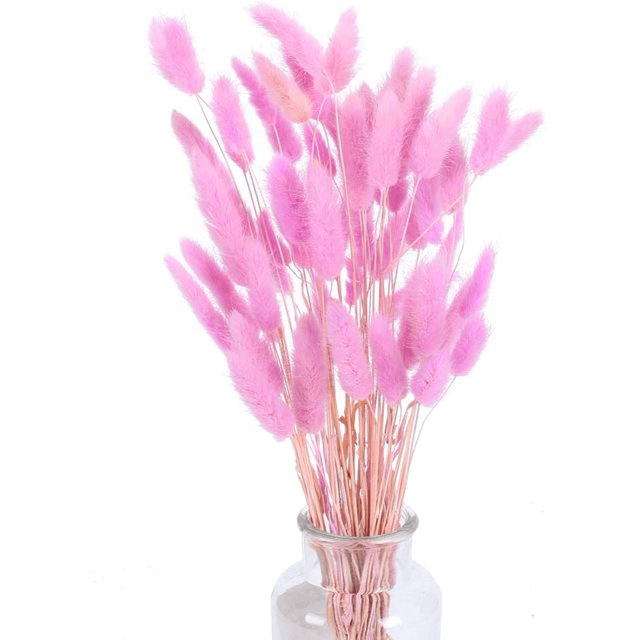 Natural Dried Fluffy Bunny Tails - SC 44