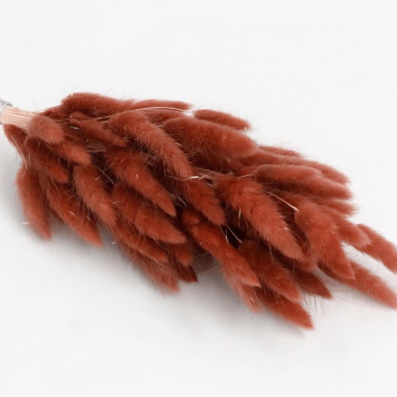 Natural Dried Fluffy Bunny Tails - SC36