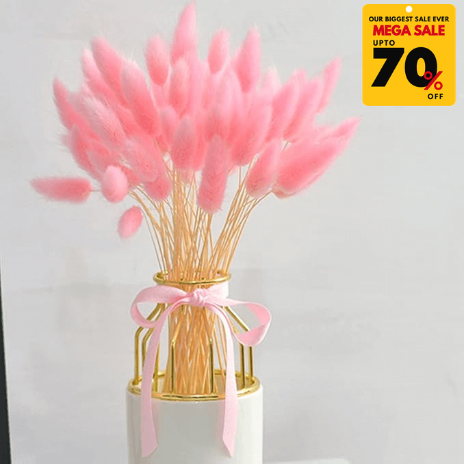 Natural Dried Fluffy Bunny Tails - SC 42