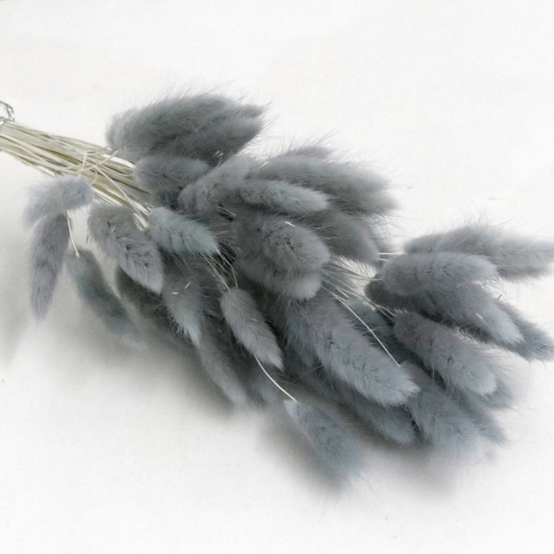 Natural Dried Fluffy Bunny Tails - SC 56