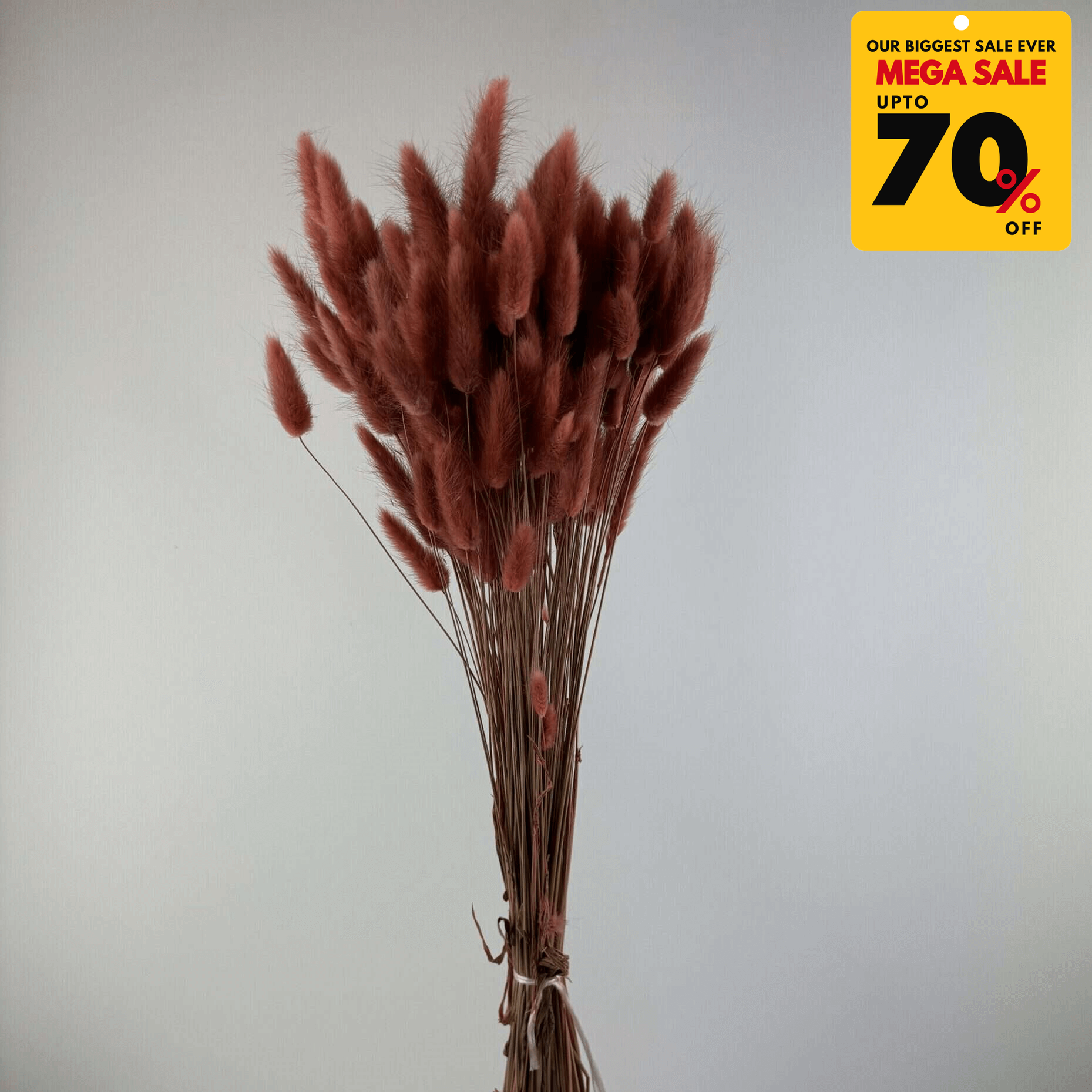 Natural Dried Fluffy Bunny Tails - SC 38