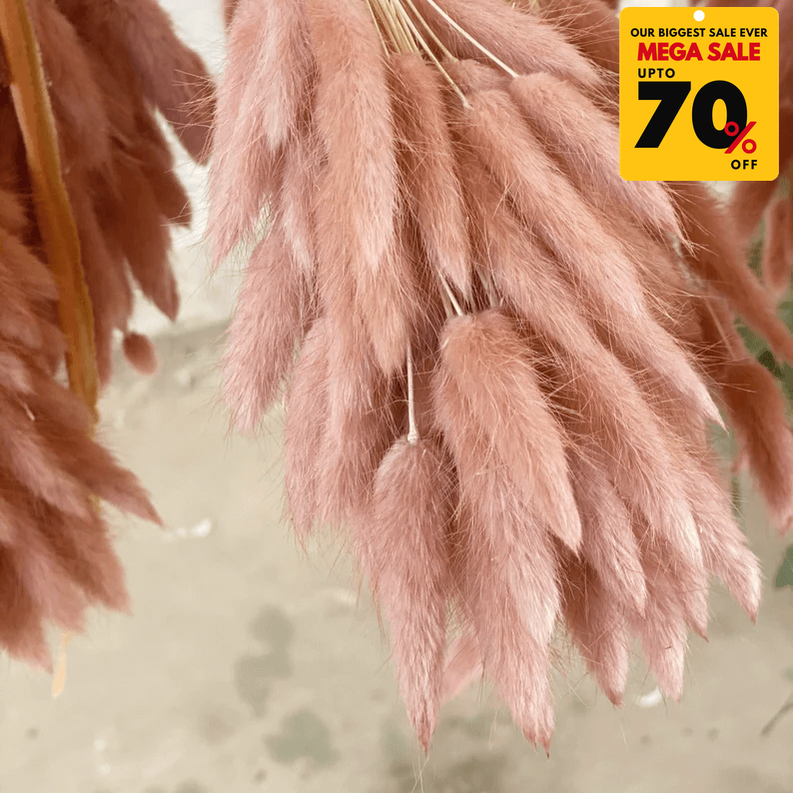 Natural Dried Fluffy Bunny Tails - SC 39