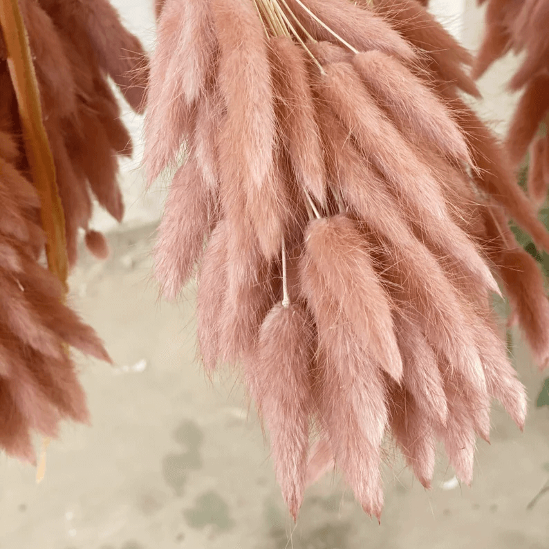 Natural Dried Fluffy Bunny Tails - SC 39