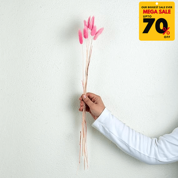 Natural Dried Fluffy Bunny Tails - SC 42