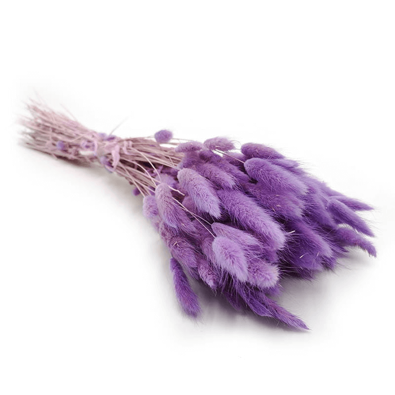 Natural Dried Fluffy Bunny Tails - SC29