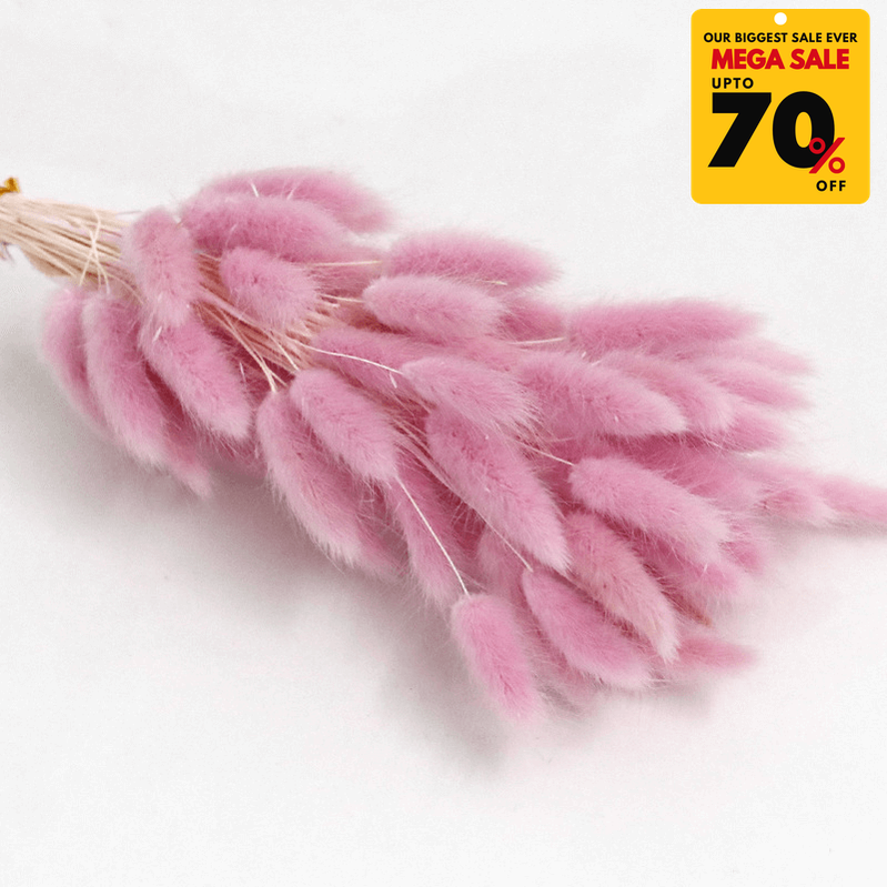 Natural Dried Fluffy Bunny Tails - SC 44