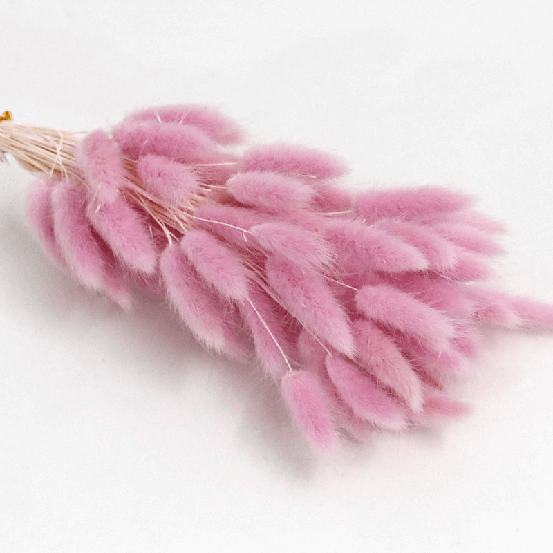 Natural Dried Fluffy Bunny Tails - SC 44