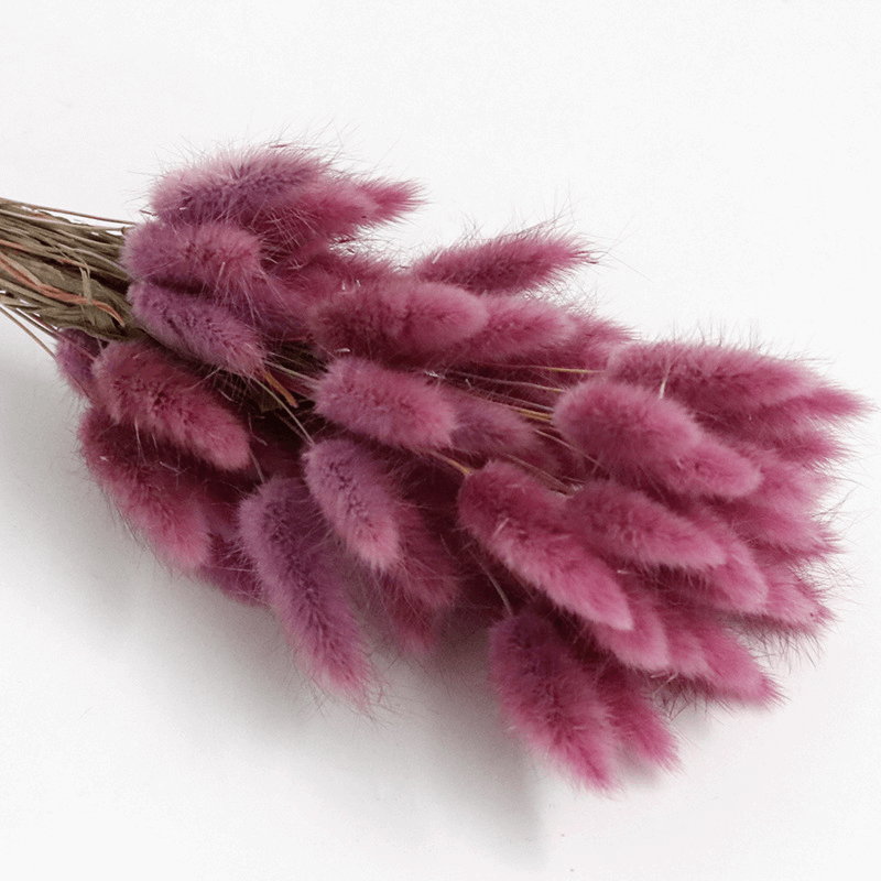 Natural Dried Fluffy Bunny Tails - SC 32