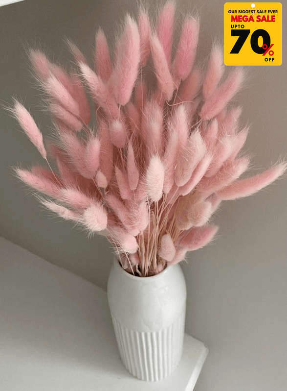Natural Dried Fluffy Bunny Tails - SC 49