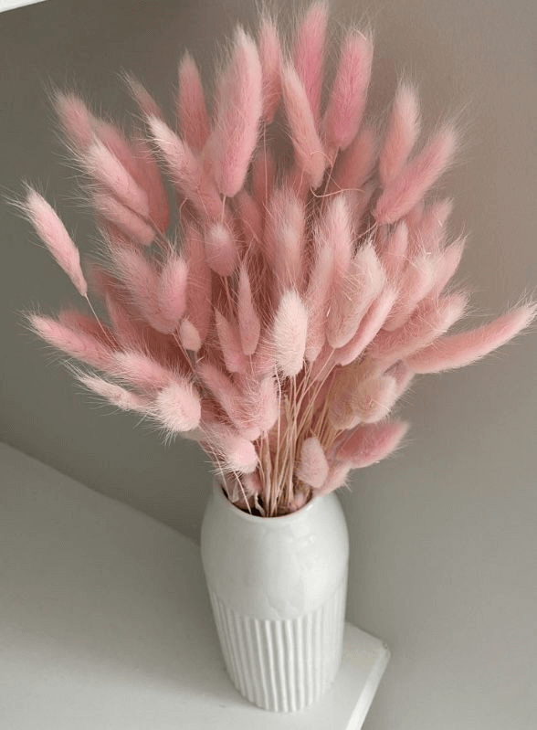 Natural Dried Fluffy Bunny Tails - SC 49