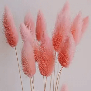 Natural Dried Fluffy Bunny Tails - SC 43