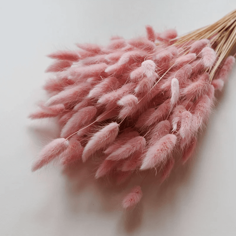 Natural Dried Fluffy Bunny Tails - SC 39