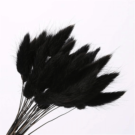 Natural Dried Fluffy Bunny Tails - SC Black