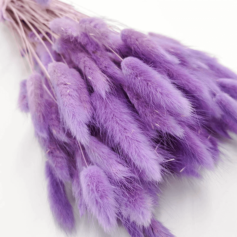 Natural Dried Fluffy Bunny Tails - SC29