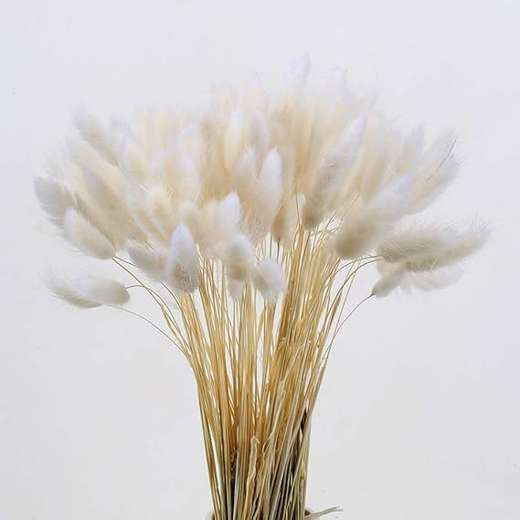 Natural Dried Fluffy Bunny Tails - SC 02