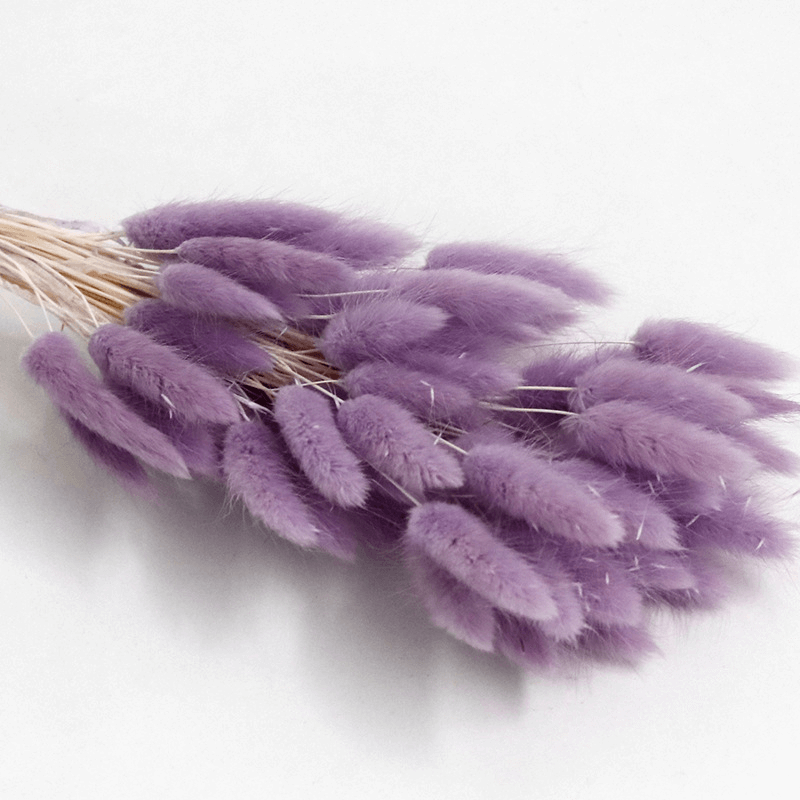 Natural Dried Fluffy Bunny Tails - SC29